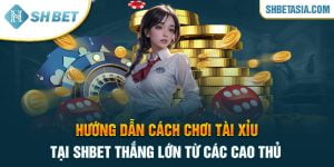 Hướng dẫn cách chơi tài xỉu tại SHBET thắng lớn từ các cao thủ