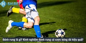 Đánh rung là gì? Kinh nghiệm đánh rung cá cược bóng đá hiệu quả?