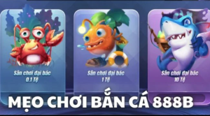 Các sản phẩm tập trung vào bắn cá 888B
