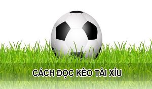 Cách dễ hiểu nhất để đọc kèo bóng đá tài xỉu