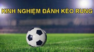 Mẹo chính xác để soi kèo rung từ chuyên gia SHBET