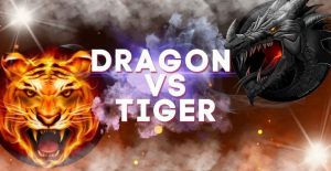 Đánh giá trò chơi Dragon Tiger của SHBET cho người mới