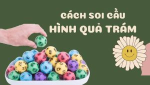 Hướng dẫn soi cầu lô hình quả trám