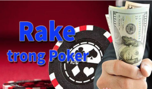 Sự quan trọng của Rake trong Poker