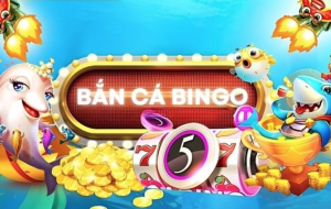 Những khuyến mãi hấp dẫn tại Bắn cá Bingo
