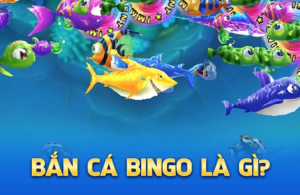 Đôi nét về bắn cá Bingo