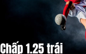 Bí quyết bắt kèo chấp 1 1/4 từ cao thủ