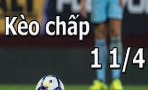 Cách đánh giá kèo chấp 1 1/4 chuẩn cho người mới