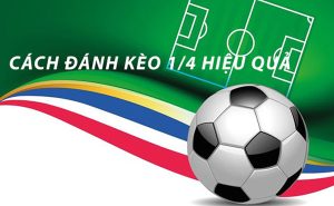 Kèo chấp đồng banh 1/4 là gì? Các kỹ thuật cá độ để tăng cơ hội thắng kèo sân cỏ cho người chơi SHBET