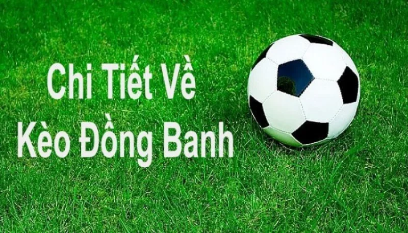 Điều gì được gọi là kèo chấp đồng banh 1/4?