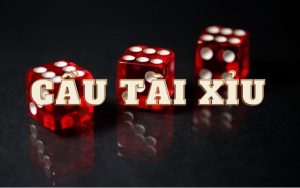 Tại sao tôi phải biết cách bắt cầu tài xỉu chuẩn?