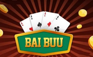 Thông tin chi tiết nhất về bài bửu