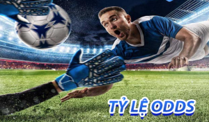 Tỷ lệ Odds là gì? Tìm hiểu về tỷ lệ cơ bản được sử dụng trong cá độ bóng đá SHBET