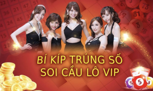 Những lý do bạn nên sử dụng cầu lô Vip