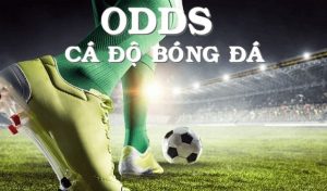 Các tỷ lệ xác suất cơ bản cho cá cược bóng đá