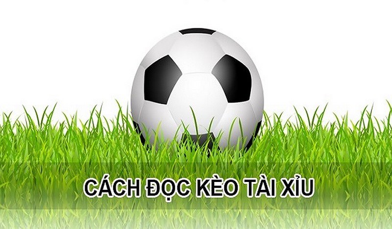 Kỹ năng chơi kèo tài xỉu bóng đá hiệu quả