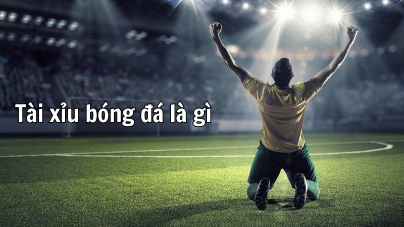 Tìm hiểu đôi nét về kèo tài xỉu