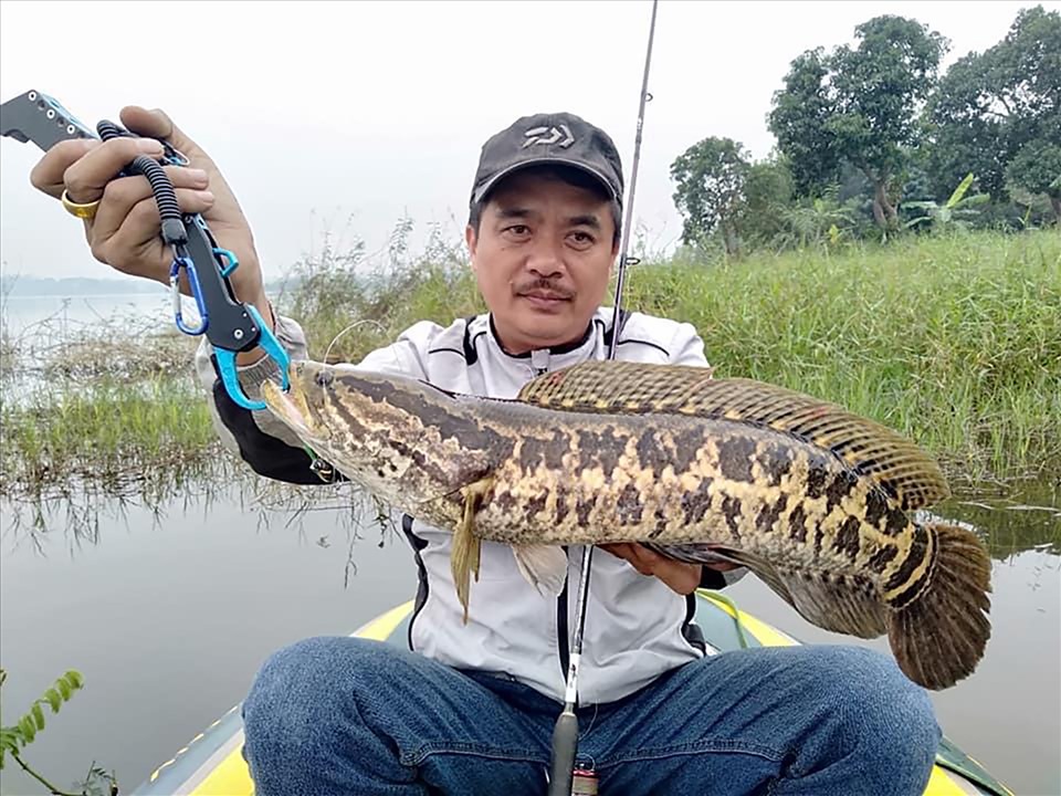 hình ảnh câu cá