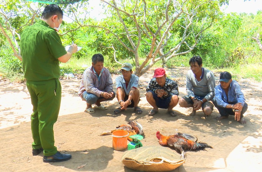 hình ảnh minh họa